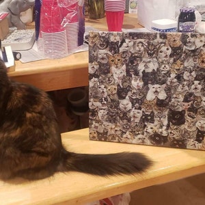 Samantha added a photo of their purchase