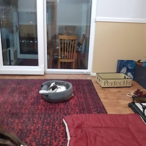 Hazel added a photo of their purchase