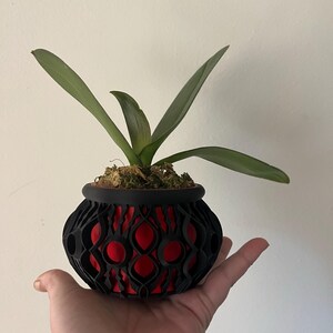 Amy added a photo of their purchase