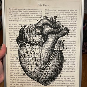William added a photo of their purchase