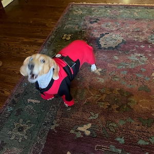 Josie added a photo of their purchase