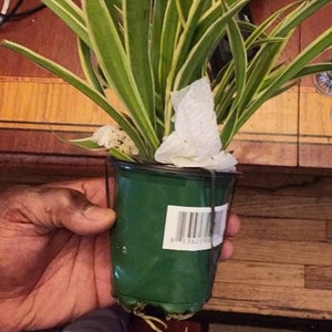 Tim added a photo of their purchase