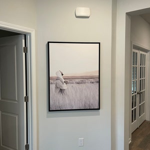 Abe added a photo of their purchase