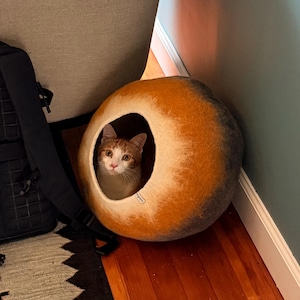 Kate added a photo of their purchase