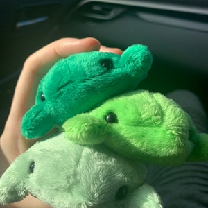 Sinuu ha aggiunto una foto del proprio acquisto