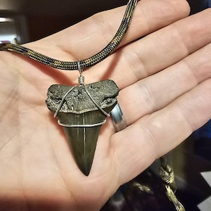 Brett added a photo of their purchase