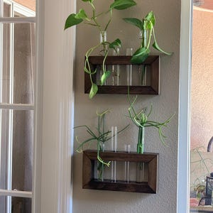 LP added a photo of their purchase
