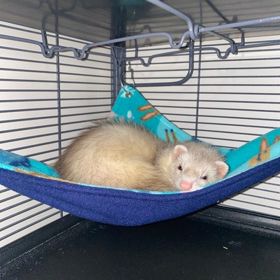 Sushi Pint Hanging Cone Hammock Fo Ats, Hamstes, Guinea
