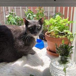 Pamela added a photo of their purchase