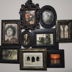 Jay hat ein Foto des gekauften Artikels hinzugefügt