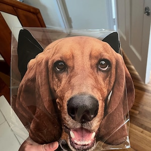 Anna added a photo of their purchase