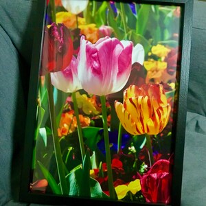 Prateek added a photo of their purchase