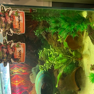 Lidia ha añadido una foto de su compra