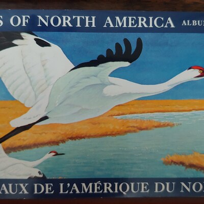 Vintage Illustrated Postcard by Racey Helps, Early 1960's. Printed and ...