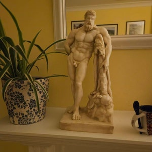 Ruan added a photo of their purchase