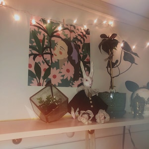 ✦ ha añadido una foto de su compra