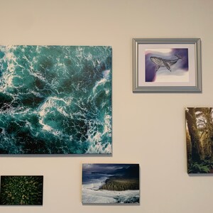 Desiree ha aggiunto una foto del proprio acquisto