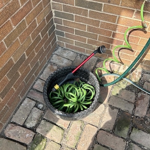 Elizabeth added a photo of their purchase