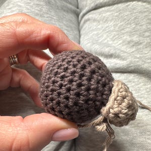 Carrie added a photo of their purchase