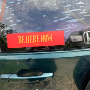 Lilly hat ein Foto des gekauften Artikels hinzugefügt