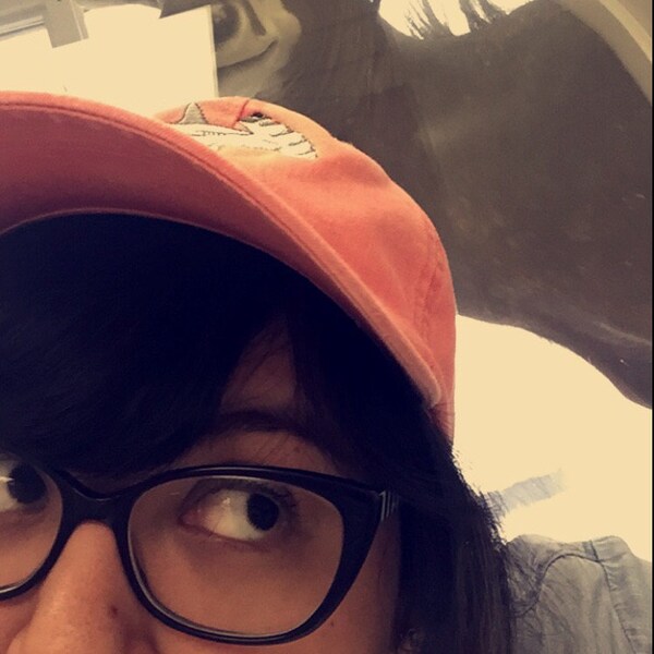 HAMMERHEAD SHARK HAT - Embroidered Women Men Wildlife Baseball Cap ...
