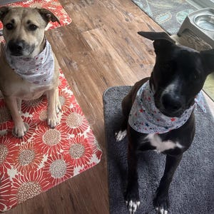 Darlene added a photo of their purchase