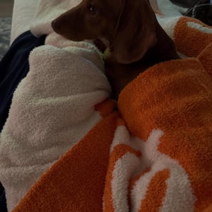 Blakely added a photo of their purchase