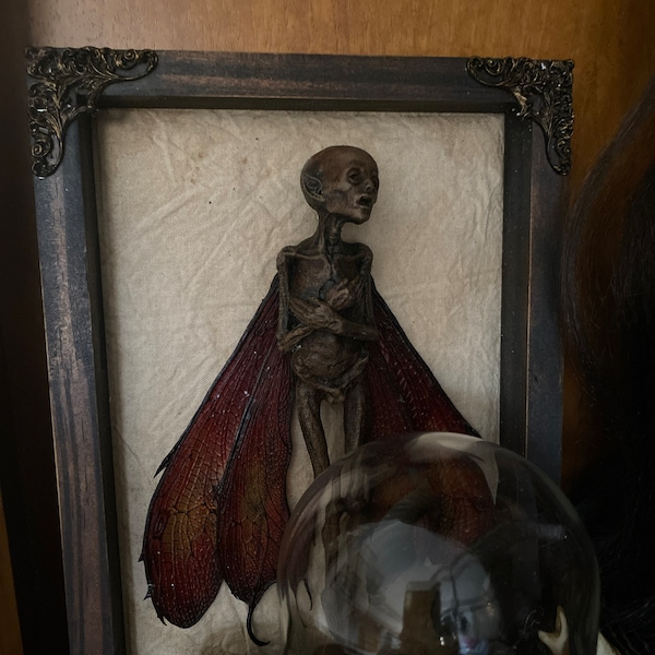 Mummified Dead Fairy Shadow Box – Cryptid Specimen, Gothic Curiosity ...