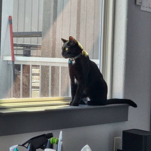 Catrina ha añadido una foto de su compra