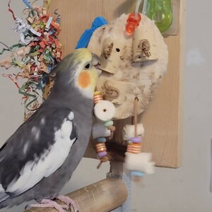 Yucca top bird toys