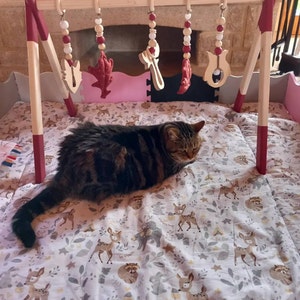 Carole added a photo of their purchase