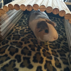 Patricia added a photo of their purchase