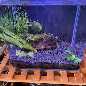 Kelly added a photo of their purchase