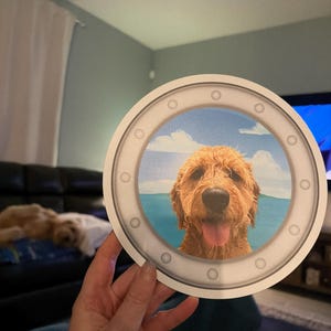 Whitney added a photo of their purchase