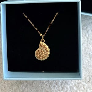 Review photo by hellen for Sea Snail Charm Necklace
