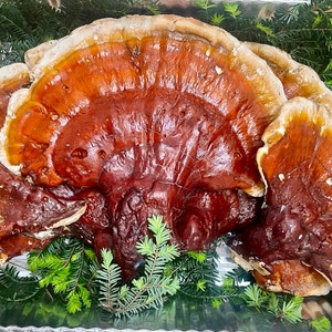 Ashley added a photo of their purchase