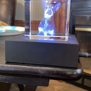 Gabby added a photo of their purchase