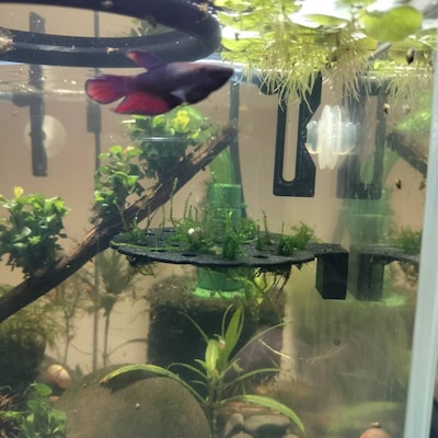 Générique Tunnel À Poissons - 60g, Tunnel D'aquarium