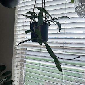 Joey added a photo of their purchase