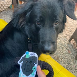 Kate added a photo of their purchase