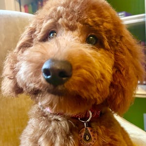 Claire さんが購入した商品の写真を追加しました