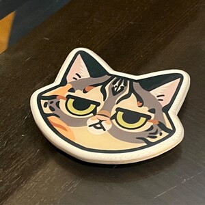 【NAVIVERSE】 Cat Mirror keyring ♥3Colors Custom Cat Mirror, Personalized Mirrors for Cat Moms, Cute