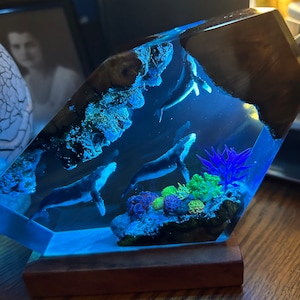 Ellen added a photo of their purchase
