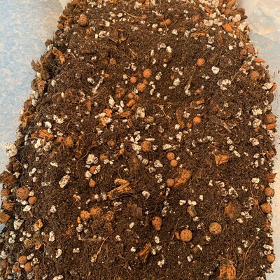 CHUNKY AROID MIX Premium Tropical Potting Mix for Monstera - Etsy