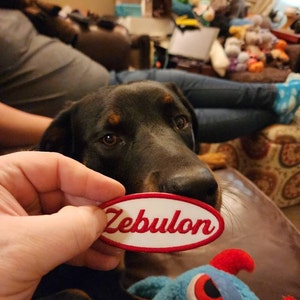 Steve added a photo of their purchase