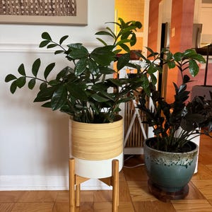 Georgia added a photo of their purchase