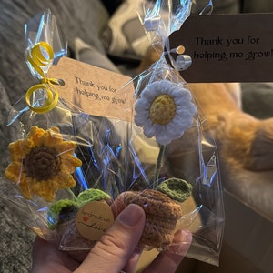 Sarah added a photo of their purchase