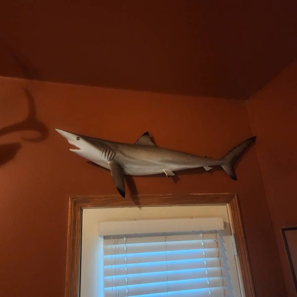Redfish Fish Mount 40 Inches Half Mount - Etsy