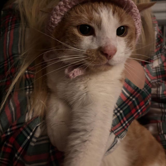 帽子 rad musician PAINT ROSE + CAT BUCKET HAT il_340x270.4950908247_6tql.jpg