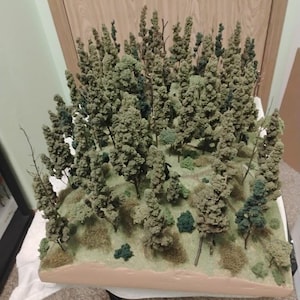 Terry added a photo of their purchase